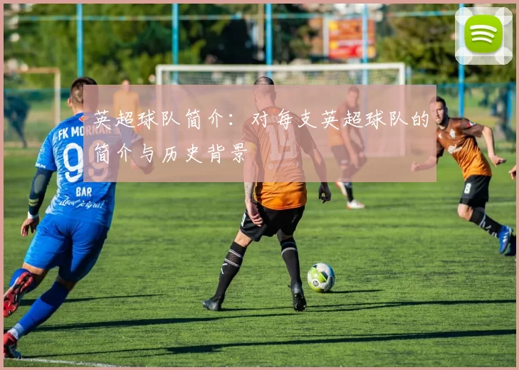 英超球队简介：对每支英超球队的简介与历史背景