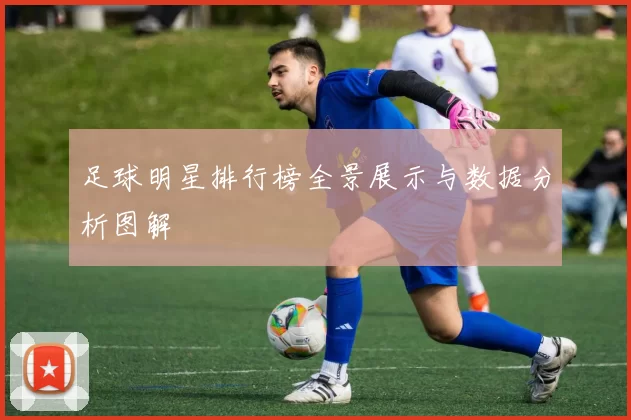 足球明星排行榜全景展示与数据分析图解