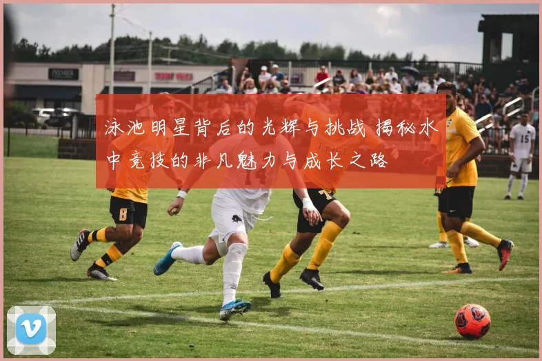 泳池明星背后的光辉与挑战 揭秘水中竞技的非凡魅力与成长之路