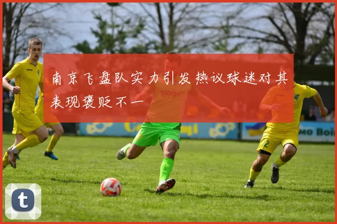 南京飞盘队实力引发热议球迷对其表现褒贬不一
