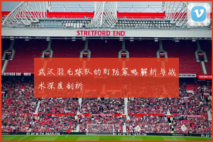 武汉羽毛球队的盯防策略解析与战术深度剖析