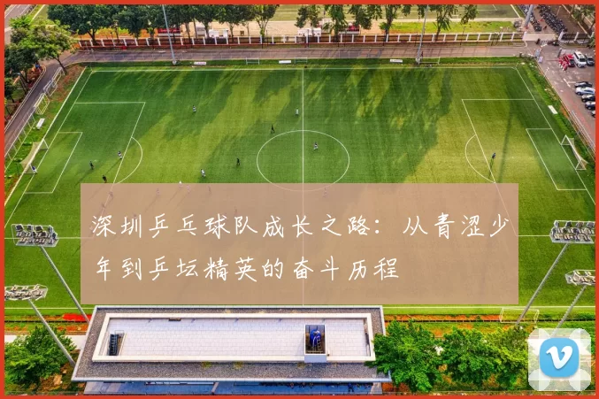 深圳乒乓球队成长之路：从青涩少年到乒坛精英的奋斗历程