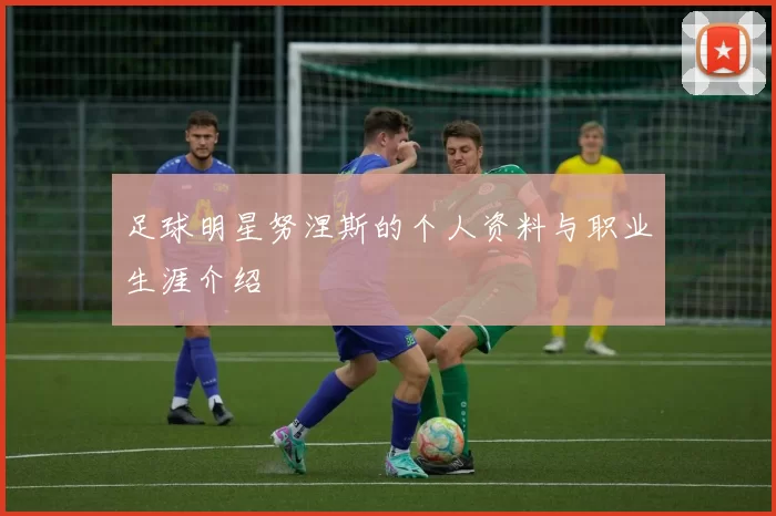 足球明星努涅斯的个人资料与职业生涯介绍