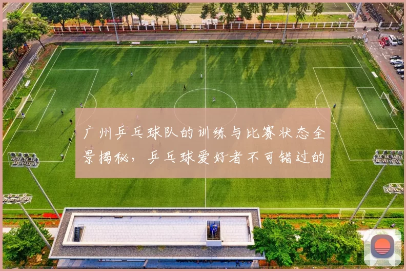 广州乒乓球队的训练与比赛状态全景揭秘，乒乓球爱好者不可错过的精彩瞬间