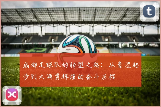 成都足球队的转型之路：从青涩起步到大满贯辉煌的奋斗历程