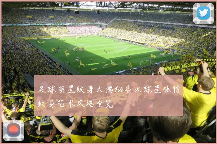 足球明星纹身大揭秘各大球星独特纹身艺术风格全览