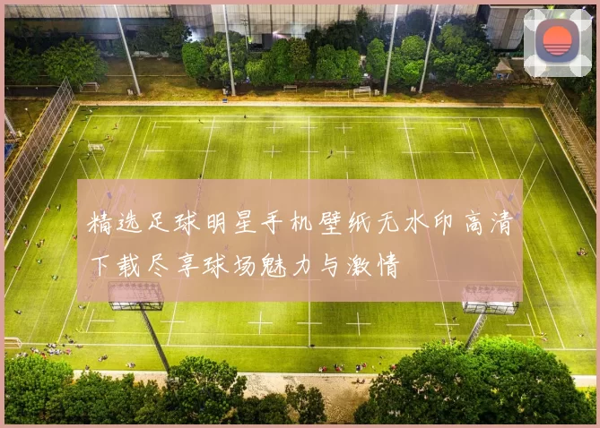 精选足球明星手机壁纸无水印高清下载尽享球场魅力与激情
