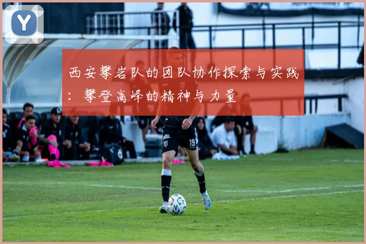 西安攀岩队的团队协作探索与实践：攀登高峰的精神与力量