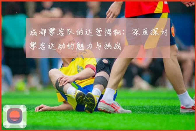 成都攀岩队的运营揭秘：深度探讨攀岩运动的魅力与挑战