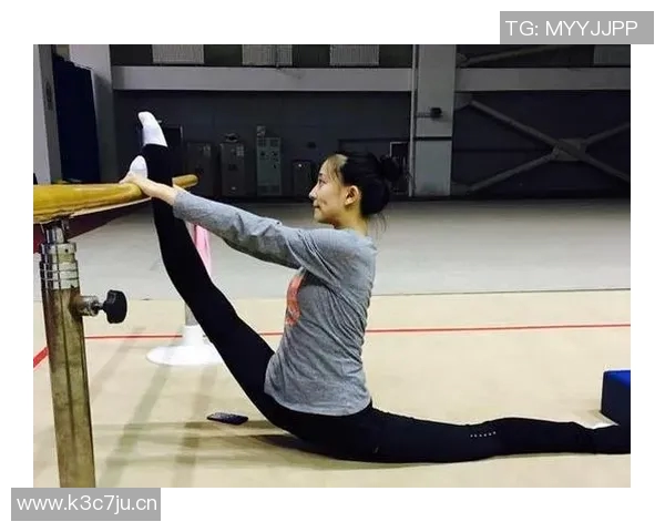 竞技体操成绩分析与发展趋势：提升技巧与突破极限的路径探讨